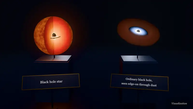 Two museum-style 3D models on plinths: a black hole star and an ordinary black hole seen edge-on through dust
